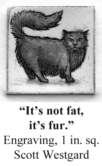 it's not fat it's fur