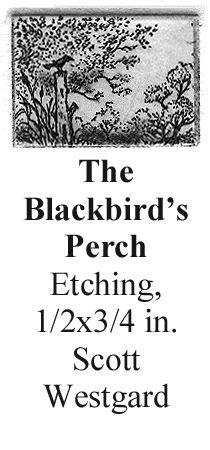 blackbirds perch